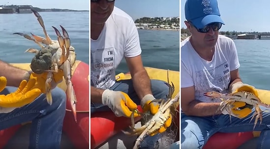 Hayalet Ağa Takılan Anne Yengeci Kurtarıp Yavrularıyla Birlikte Özgürlüğüne Kavuşturan Güzel İnsanlar