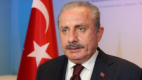 TBMM Başkanı Mustafa Şentop Kimdir, Kaç Yaşında? Mustafa Şentop Nereli, Eğitimi Ne?