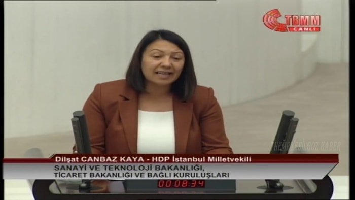 Dilşat Canbaz Kaya Kimdir, Kaç Yaşında? HDP'li Dilşat Canbaz Kaya Nereli, Eğitimi Ne?