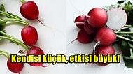Bağışıklık Sisteminden Kalp Sağlığına Kadar Kırmızı Turpun Bitmek Bilmeyen Mucizevi Faydaları