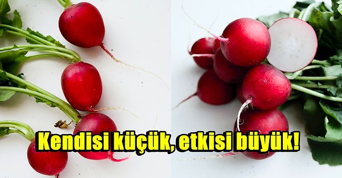 Bağışıklık Sisteminden Kalp Sağlığına Kadar Kırmızı Turpun Bitmek Bilmeyen Mucizevi Faydaları