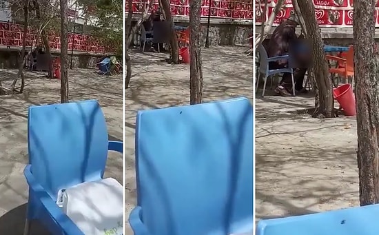 Aile Çay Bahçesinde Birbirlerine Mastürbasyon Yapan Dayıların Tepki Çeken Görüntüleri