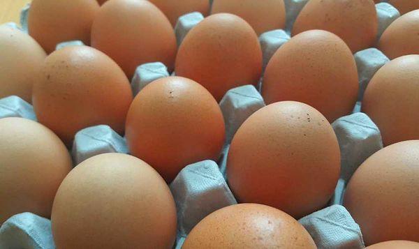 Yumurta da yaklaşık yüzde 10 oranında zamlandı ki tek başına olmayan bir ürün daha bir çok gıda ürünün üretiminde kullanılıyor bildiğiniz üzere.