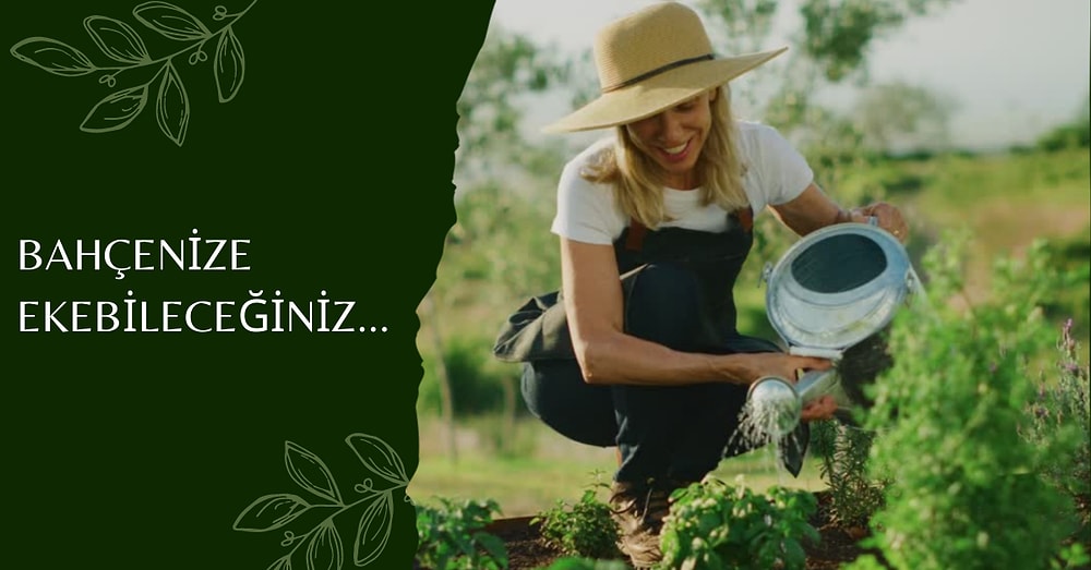 Kendin Ekip Yetiştirebileceğin, Bahçene Renk Katacak Birbirinden Güzel Çiçekler