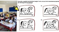 Milyonlarca Öğrencinin Ter Döktüğü LGS'de Sorulan Atlı Mantık Sorusu Sosyal Medyayı İkiye Böldü