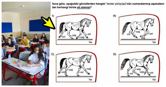 Milyonlarca Öğrencinin Ter Döktüğü LGS'de Sorulan Atlı Mantık Sorusu Sosyal Medyayı İkiye Böldü