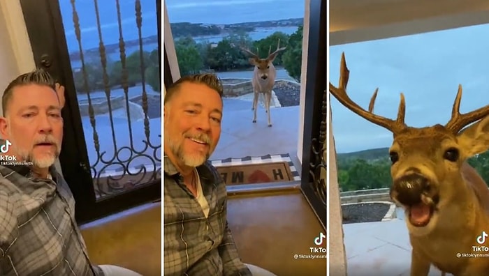 Helal be Sergen Hocam! Kapısına Gelen Geyiği Elleriyle Besleyen Adamın İçinizi Sımsıcak Yapacak Görüntüleri