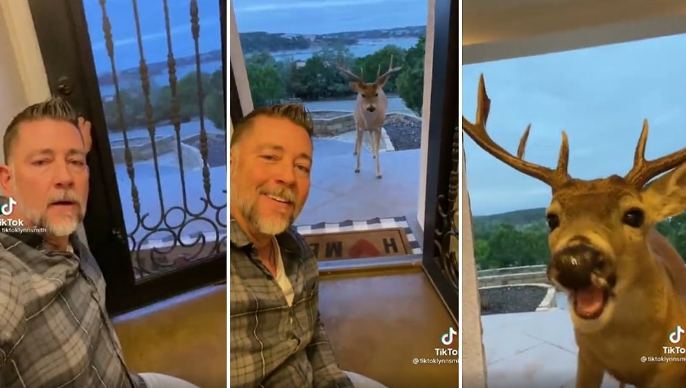 Helal be Sergen Hocam! Kapısına Gelen Geyiği Elleriyle Besleyen Adamın İçinizi Sımsıcak Yapacak Görüntüleri