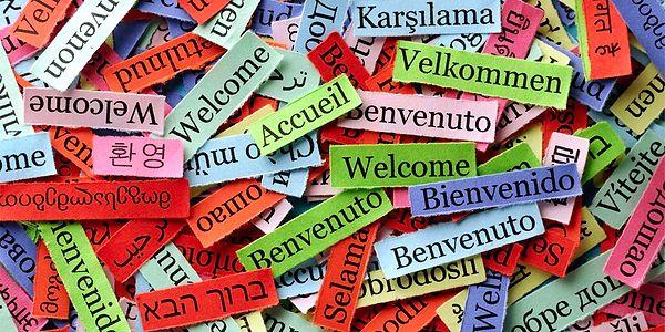 Dünya üzerinde iş hayatında en çok kullanılan diğer diller sırasıyla şu şekilde: