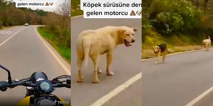 Motoruyla Yolculuk Eden Adamın, Karşılaştığı Köpek Sürüsünden Kaçarken Ecel Terleri Döktüğü Anlar Viral Oldu