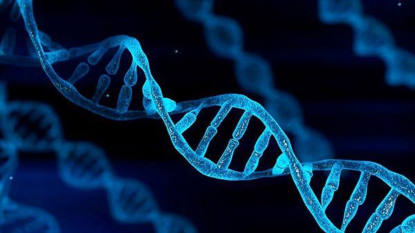 ABD'de yürütülen İnsan Genom Projesi kapsamında insan genomunun yüzde 92'si 2003'te sıralanmıştı.