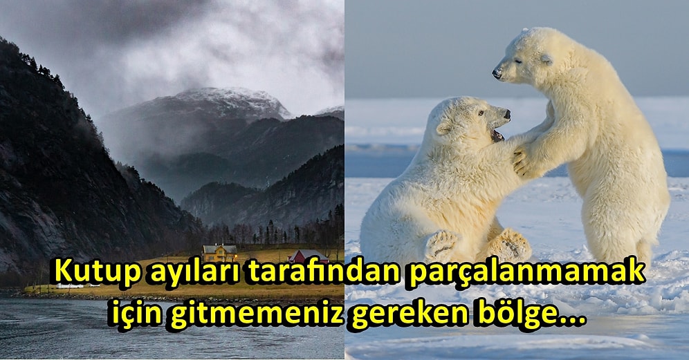 Hangi İskandinav Ülkelerinde Yaşamanın Güvensiz ve Tehlikeli Olduğunu Aktararak Bizleri Şaşırtan 12 Kişi