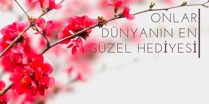 Onlar Dünyanın En Güzel Hediyesi Olabilir! Bahçenizi ve Hayatınızı Renklendirecek En Güzel Çiçek Tohumları