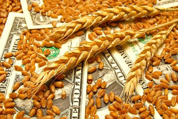 Buğdayda dünyada üretim, fiyat ve ticaret ne durumda?