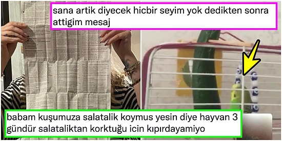 Şarkı Atıp 'Fuck Buddy Olalım' Diyenden Kuşa Devasa Bir Salatalık Veren Babaya Son 24 Saatin Viral Tweetleri