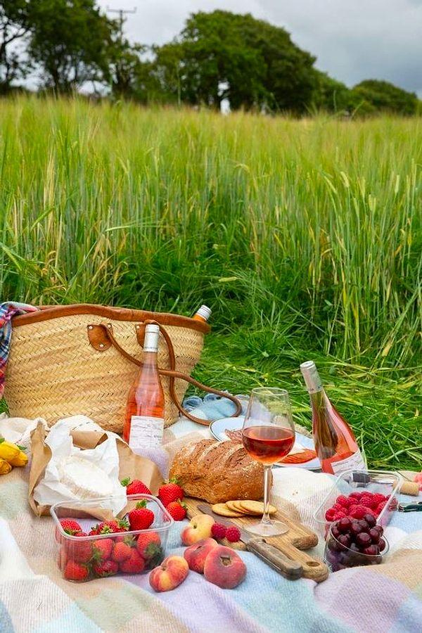 15. Eğer eşiniz veya sevgiliniz doğayı seviyorsa romantik bir piknik hazırlayın.