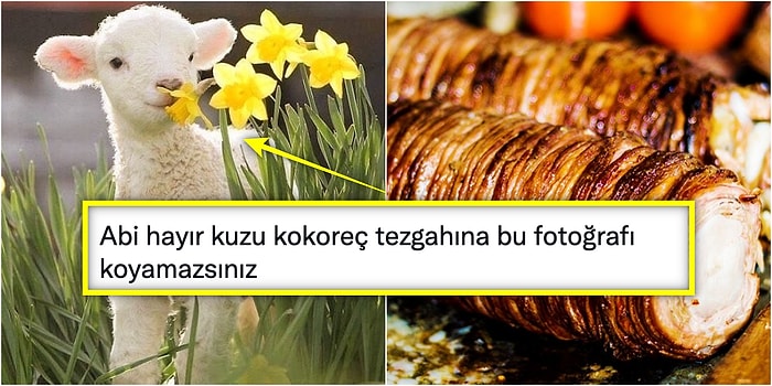 Kokoreç Tezgahına Koyulan Dünyanın En Tatlı Kuzusunun Fotoğrafı Sosyal Medyayı Birbirine Düşürdü