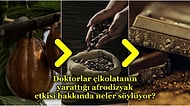 Kalp Rahatsızlıklarından Diyabete Kadar Her Derde Deva Olan Çikolata Hangi Üretim Aşamalarından Geçiyor?
