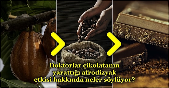 Kalp Rahatsızlıklarından Diyabete Kadar Her Derde Deva Olan Çikolata Hangi Üretim Aşamalarından Geçiyor?