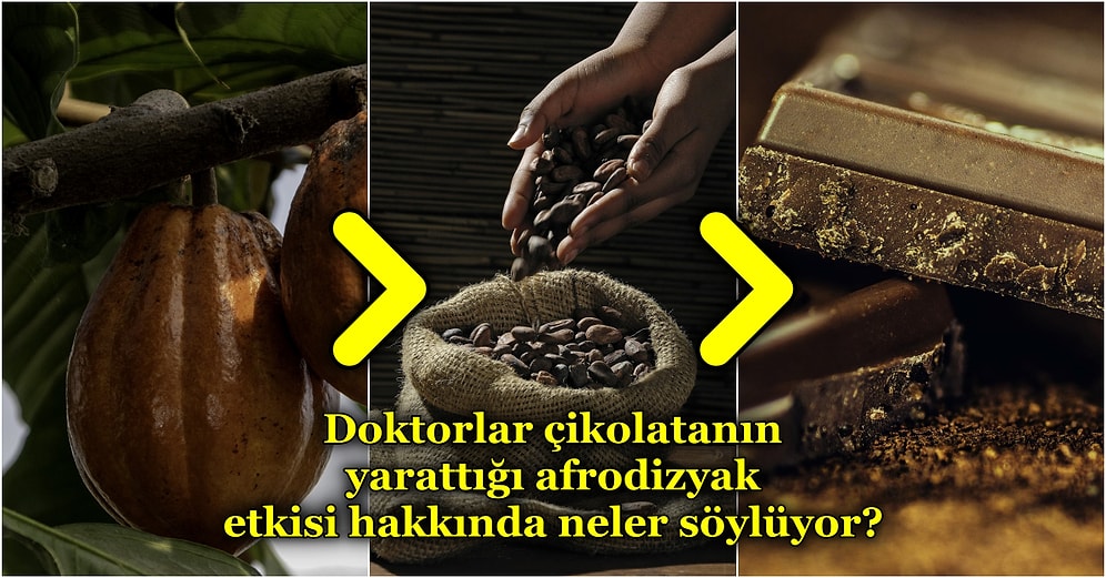 Kalp Rahatsızlıklarından Diyabete Kadar Her Derde Deva Olan Çikolata Hangi Üretim Aşamalarından Geçiyor?