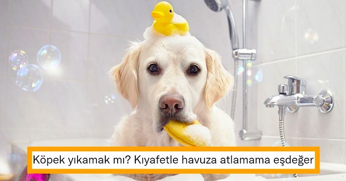 Tüylü Dostlarımız İçin Banyo Zamanı: Köpekler Nasıl Yıkanır?