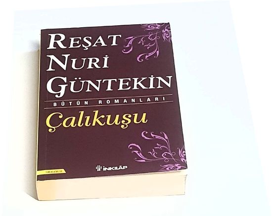 Türk Klasiklerinin En Sevilen Romanı: Çalıkuşu'nun Özeti