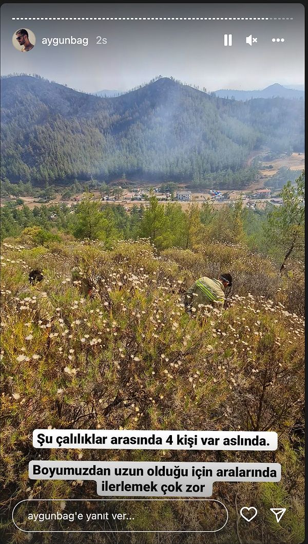 Bu çalıların nasıl tutuştuğunu düşününce bile insan çok kötü oluyor!