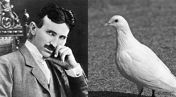 Nikola Tesla'nın 3 rakamından temizlik takıntısına kadar pek çok garip huyu olsa da onu en derinden etkileyeni kesinlikle güvercinlerdi.