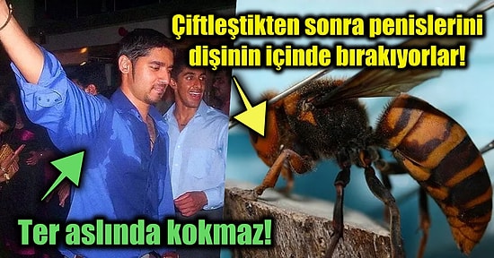 Öğrendiğiniz Anda Şaşırma Kotanızı Bugünlük Doldurup Entelektüel Seviyenizi Arşa Çıkaracak 15 Enteresan Gerçek