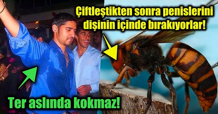 Öğrendiğiniz Anda Şaşırma Kotanızı Bugünlük Doldurup Entelektüel Seviyenizi Arşa Çıkaracak 15 Enteresan Gerçek