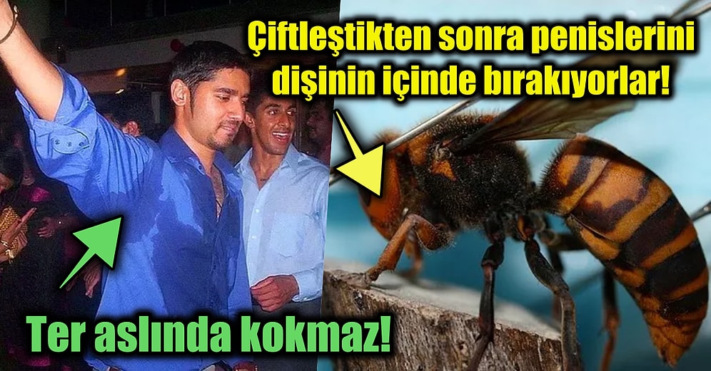 Öğrendiğiniz Anda Şaşırma Kotanızı Bugünlük Doldurup Entelektüel Seviyenizi Arşa Çıkaracak 15 Enteresan Gerçek