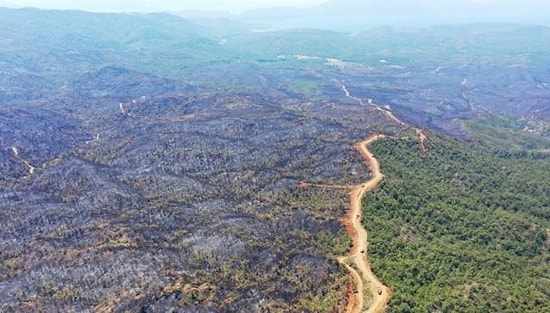 4 Bin 500 Hektar Alan Yandı: Marmaris'teki Yangında 'Emniyet Şeridi' Detayı