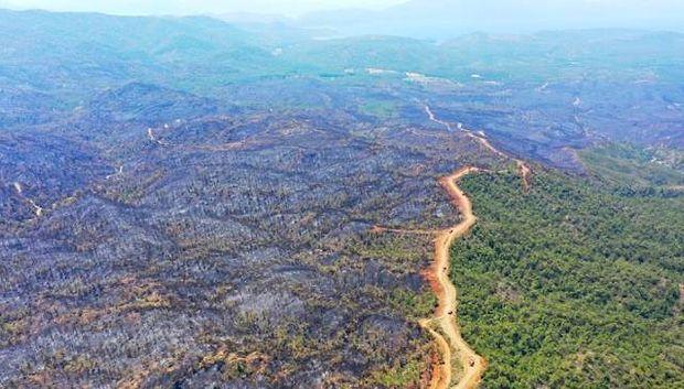 4 Bin 500 Hektar Alan Yandı: Marmaris'teki Yangında 'Emniyet Şeridi' Detayı