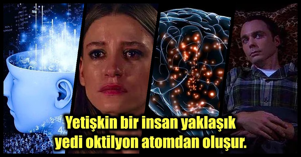 İnsan Vücudu Hakkında Öğrenince Uzaklara Dalacağınız 25 Gerçek