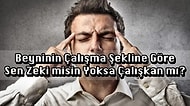 Beyninin Çalışma Şekline Göre Sen Zeki misin Yoksa Çalışkan mı?
