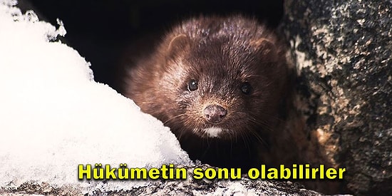 Bugün Neler Yaşandı? Günün En Çok Konuşulan ve Tartışılan Haberleriyle Sosyal Medyanın Gündemi (2 Temmuz)