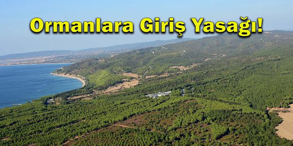 Çanakkale Valiliği 15 Eylül Tarihine Kadar Ormanlara Girişi Yasakladığını Açıkladı!