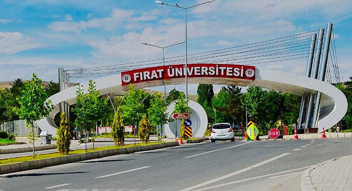 Fırat Üniversitesi 2022 Taban Puanları ve Başarı Sıralaması