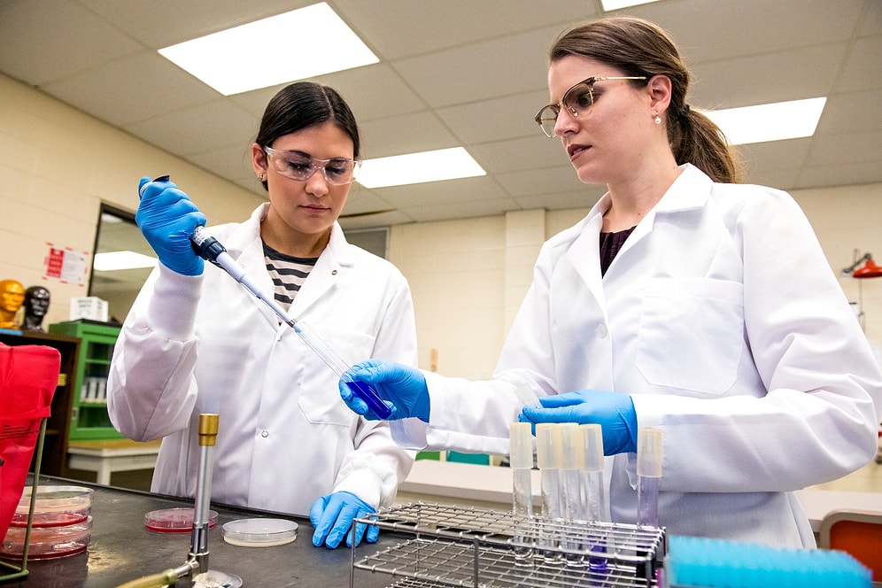 Gıda Mühendisliği 2022 Taban Puanları ve Başarı Sıralaması (4 Yıllık)