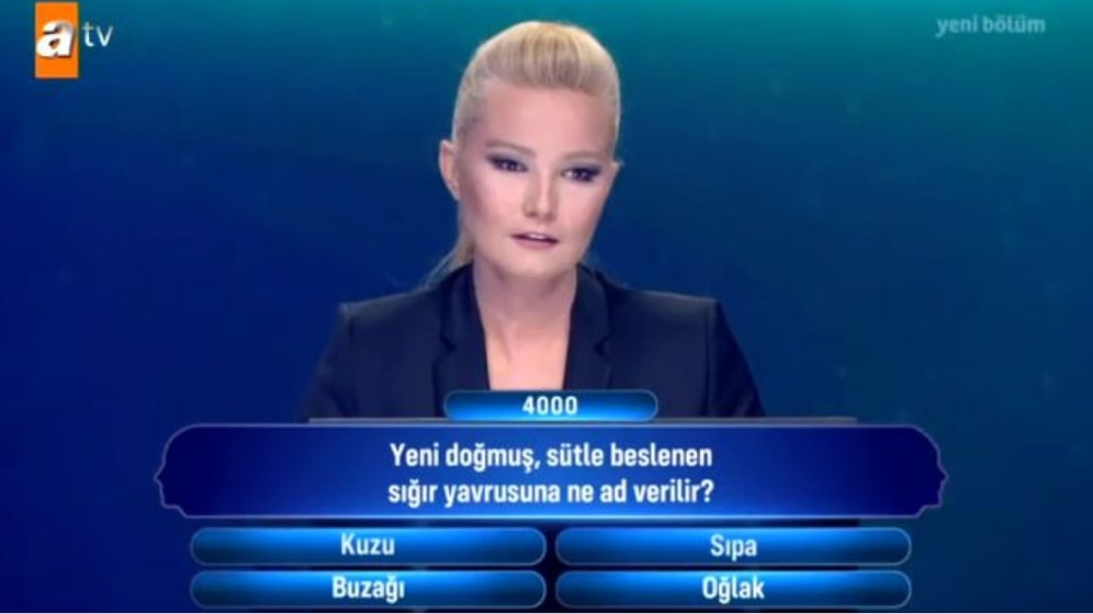 Hayvanların Yavrularına Verilen İsimleri Bulabilecek misin?