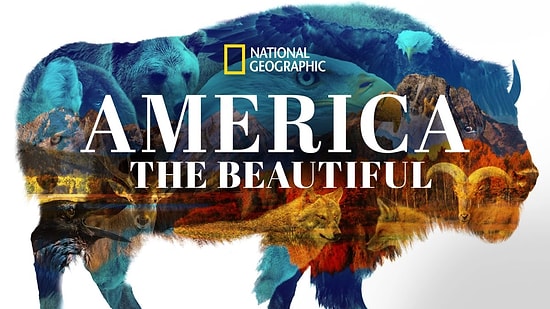 Disney+’s ‘America the Beautiful’: Release Date, Cast, Trailer, Release Date & More Info