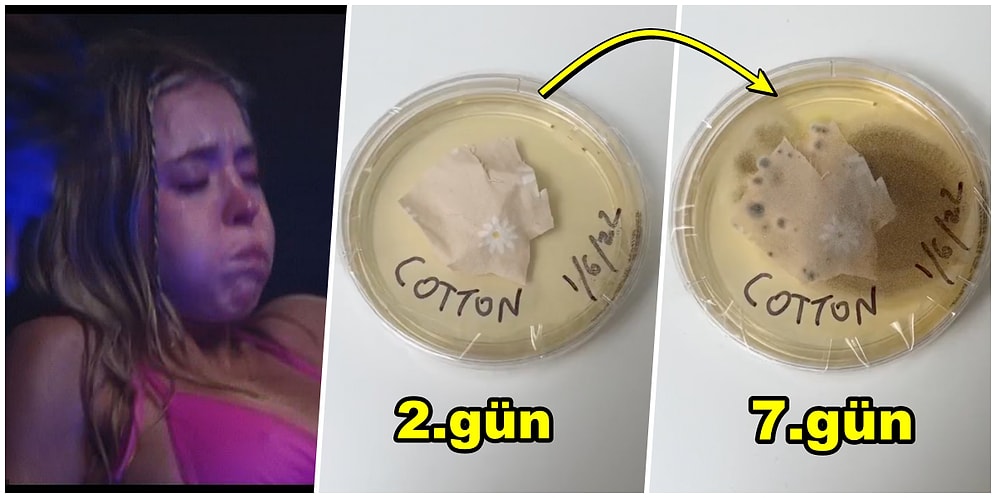 Koynumuzda Beslediğimiz Mikroplar: Bir Hafta Boyunca Çarşaf Değişmezseniz Ne Olur?