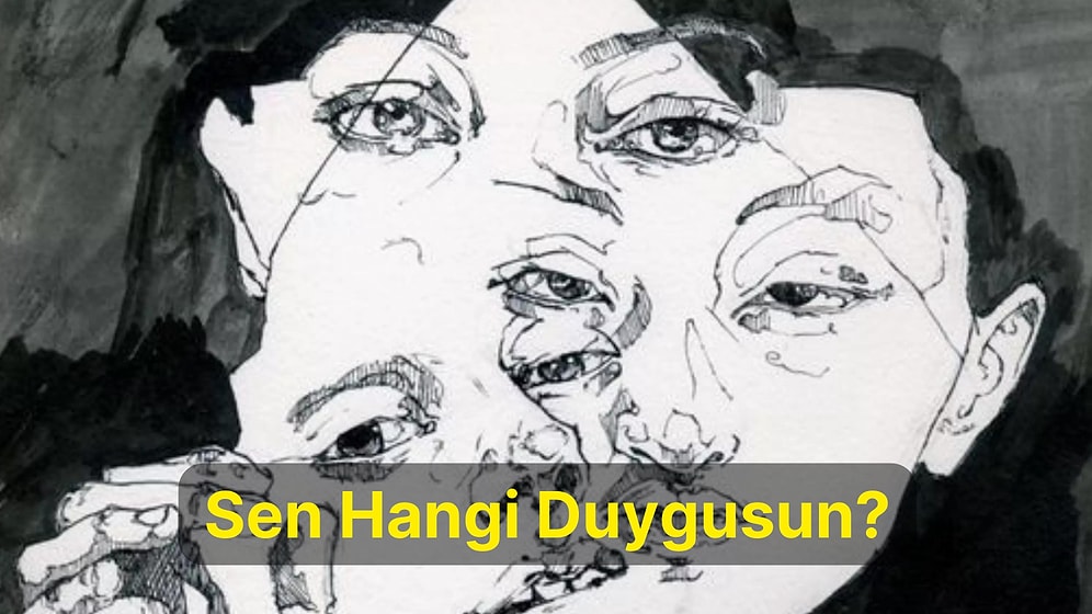 Sen Hangi Duygusun?