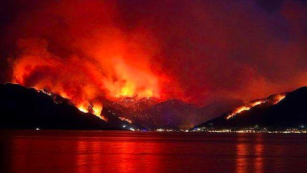 Geçtiğimiz yıl meydana gelen yangında ülkemizin doğal güzelliklerinin yanında ciğerimiz de yanıp küldü.