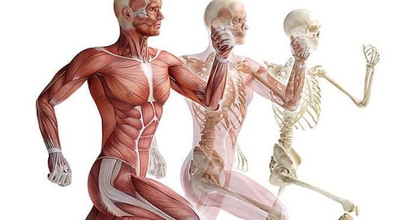 11 безумных фактов о нашем теле, о которых мы и не задумывались или вовсе не знали