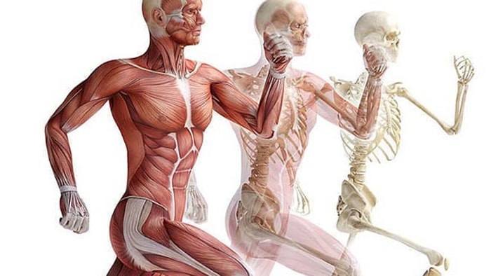 11 безумных фактов о нашем теле, о которых мы и не задумывались или вовсе не знали