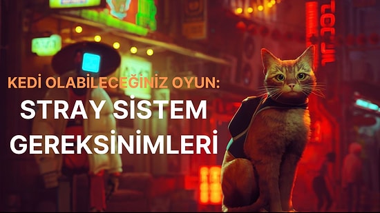 Bir Sokak Kedisine Hayat Verdiğimiz Stray'in Sistem Gereksinimleri, Fiyatı ve Tüm Detaylar