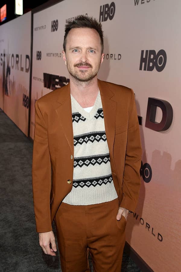 30. Аарон Пол в 40