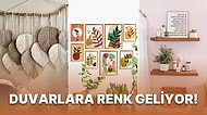 BİM'e Gelse de Alsak Diye Beklediğiniz Duvarlarınıza Renk Getirecek 17 Aksesuar