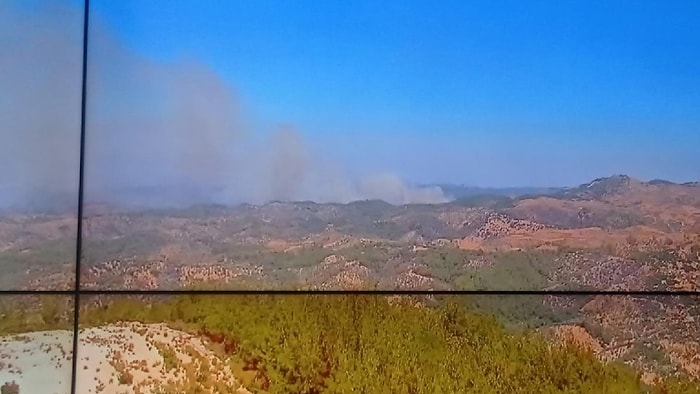 İzmir’de Orman Yangını: Bugün İkincisi Oldu